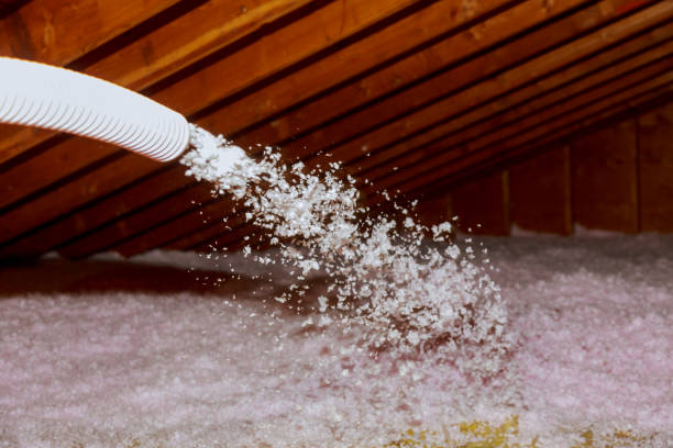 Best Residential Insulation Services  in Sho Creek, AL