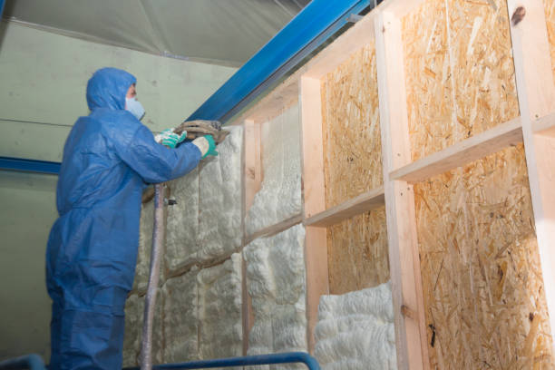 Best Attic Insulation Installation  in Sho Creek, AL