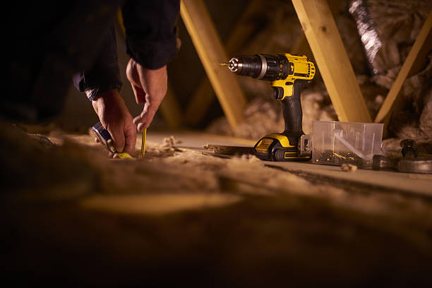 Best Insulation Removal  in Sho Creek, AL